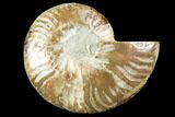 Cut & Polished Ammonite Fossil (Half) - Agate Replaced #146155-1